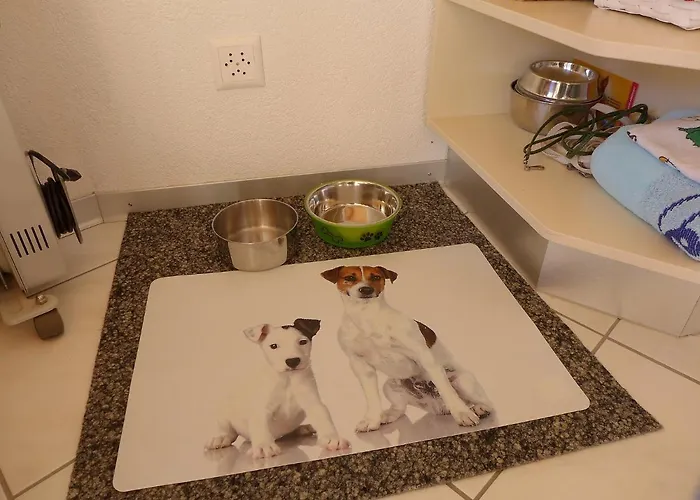 Am Brienzersee By Interhome Lejlighed Brienz (Bern)