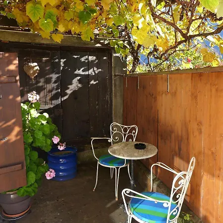 Am Brienzersee By Interhome Brienz (Bern)